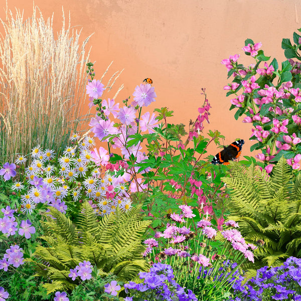 Borderpakket Paars Half-zon