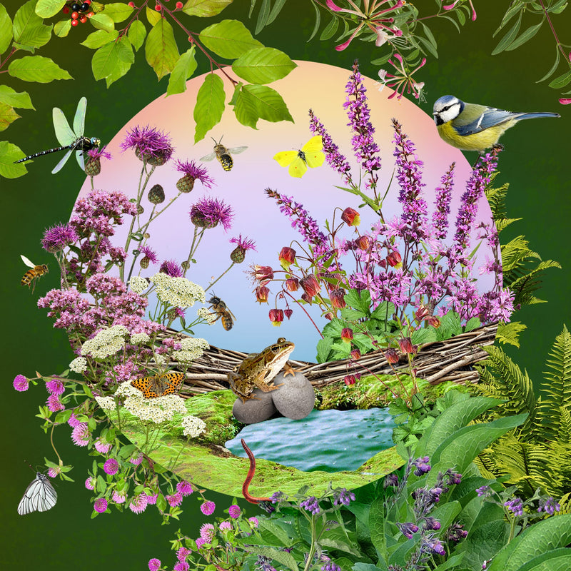 Collage van verschillende planten en dieren voor een levendige tuin. 