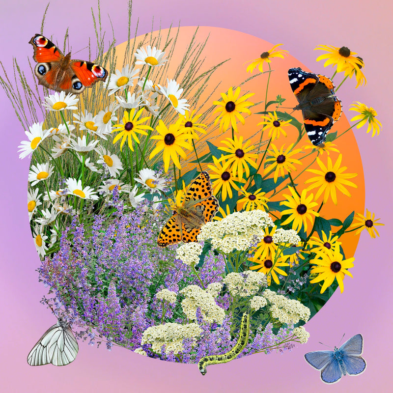 Collage illustratie van planten en vlinders 