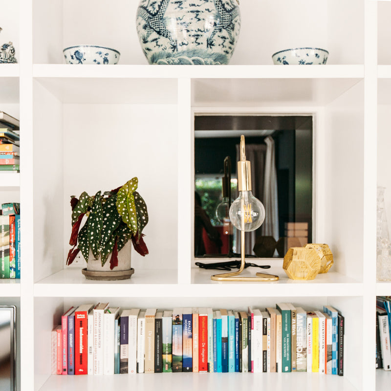 Begonia polkadot in boekenkast in huiskamer