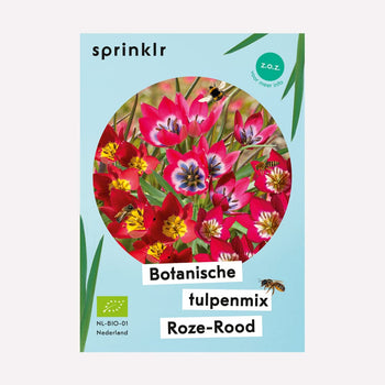 Botanische tulpenmix roze-rood