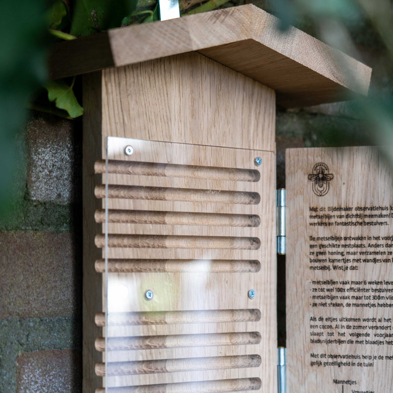 Bijenhotel