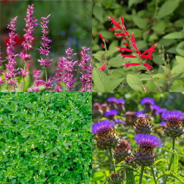 Geuren en Kleuren Pakketje