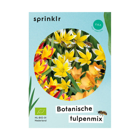 Botanische tulpenmix