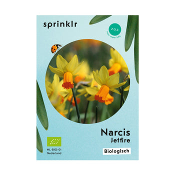 Narcis Jetfire