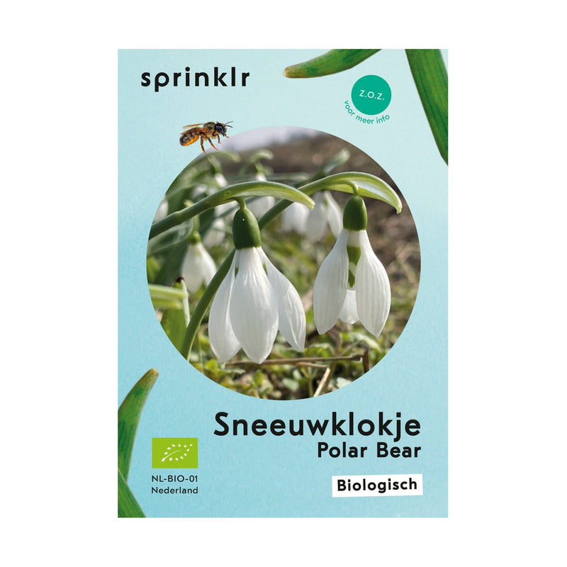 Sneeuwklokje Polar Bear