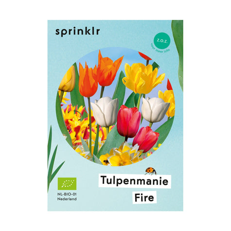 Tulpenmanie Fire