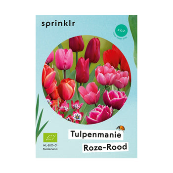 Tulpenmanie Roze-Rood