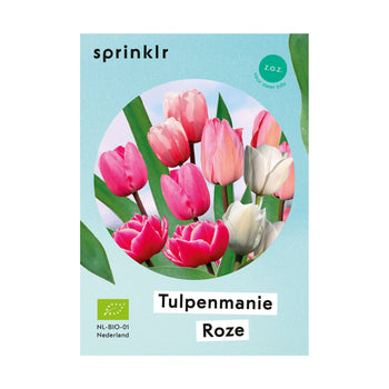 Tulpenmanie Roze