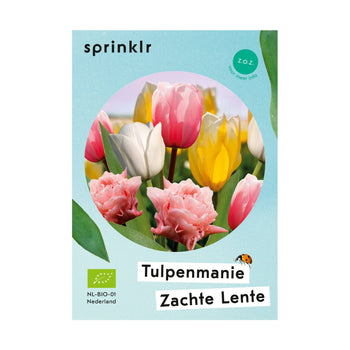 Tulpenmanie Zachte Lente