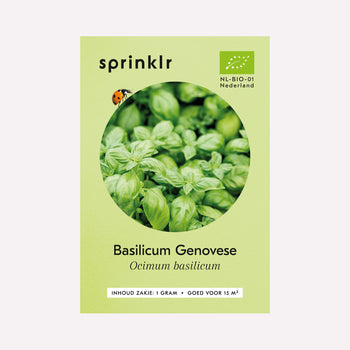 Basilicum Genovese - Zaden
