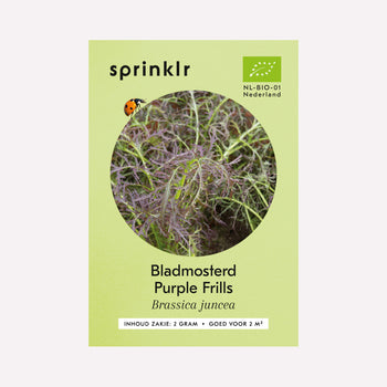 Bladmosterd Purple Frills- Zaden