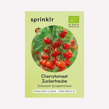 Cherrytomaat 'Zuckertraube' - Zaden
