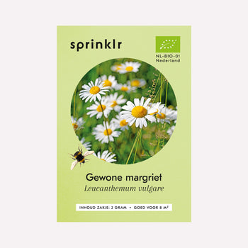 Gewone Margriet - Zaden