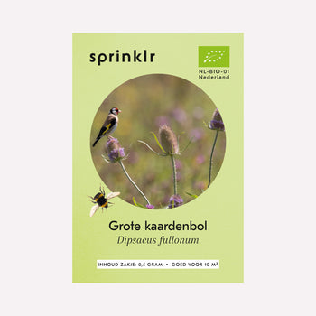 Grote Kaardenbol - Zaden