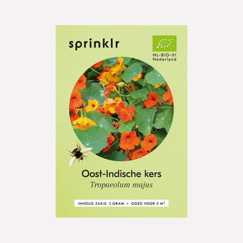 Oost-Indische kers rankend - Zaden