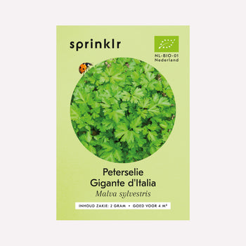 Peterselie Gigante d'Italia - Zaden