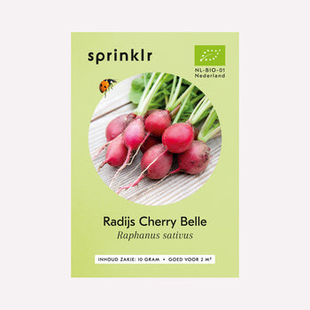 Radijs Cherry Belle - Zaden