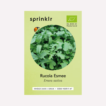 Rucola Esmee - Zaden