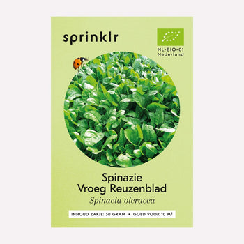 Spinazie Vroeg reuzenblad - Zaden