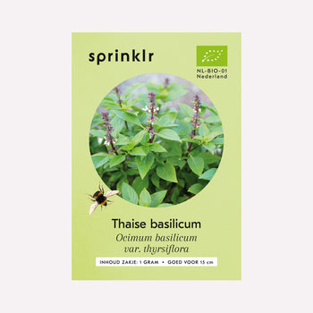 Thaise basilicum - Zaden