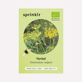 Venkel - Zaden