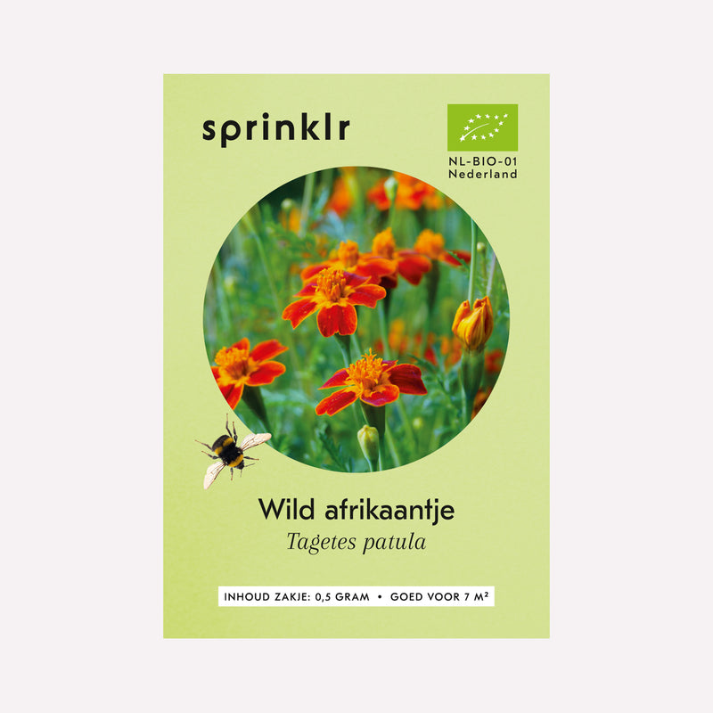 Voorkant zakje biologisch zaad Sprinklr - Wild afrikaantje