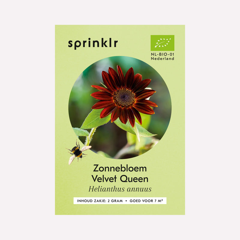Voorkant zakje biologisch zaad Sprinklr - Zonnebloem Velvet Queen