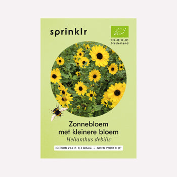 Zonnebloem kleinbloemig - Zaden
