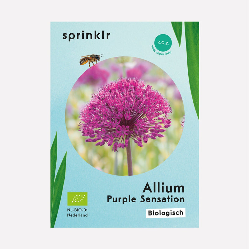 Sprinklr bollenlabel van Allium Purple Sensation