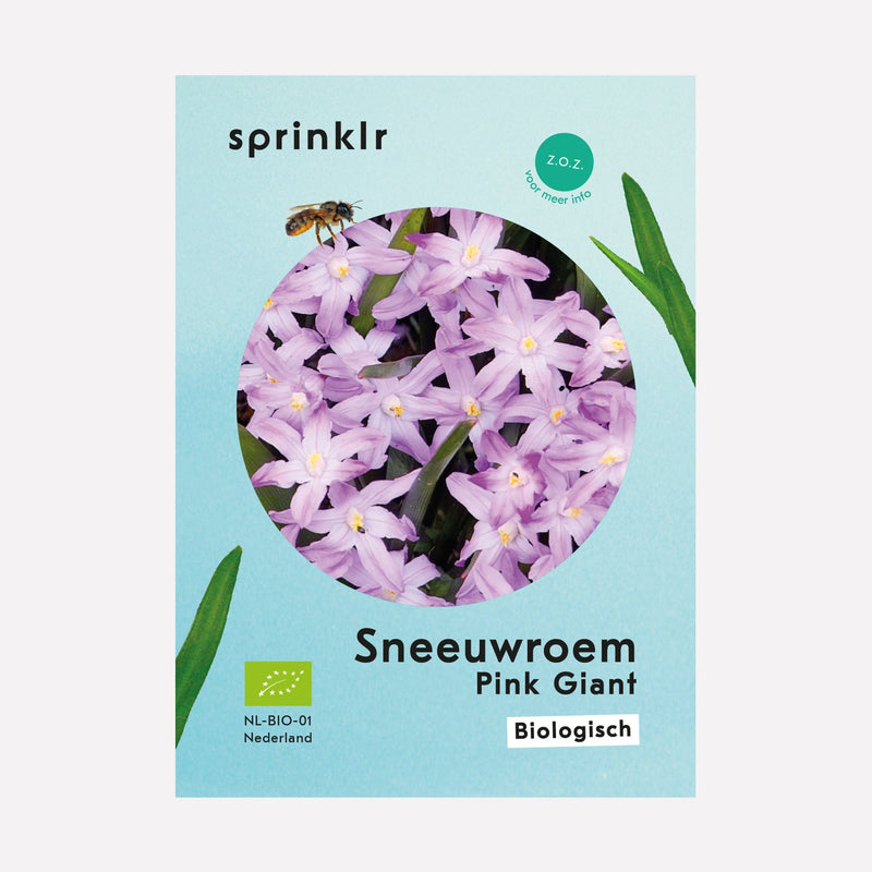 Sprinklr bollenlabel van Sneeuwroem Pink Giant