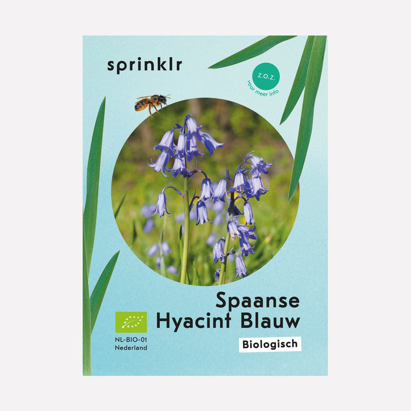 Sprinklr bollenlabel van Spaanse Hyacint Blauw