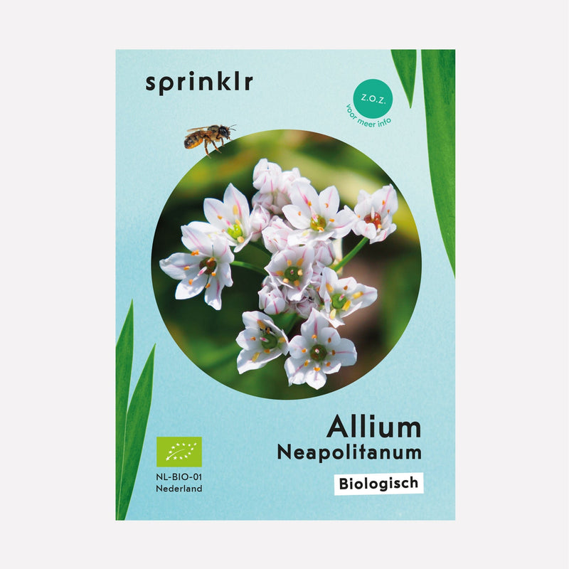 Label van Allium Neapolitanum
