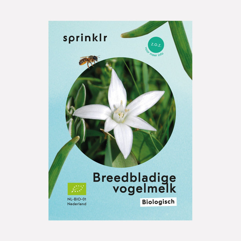 Sprinklr bollenlabel van Breedbladige vogelmelk