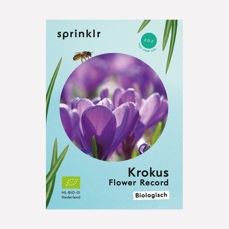 Sprinklr bollenlabel van Krokus Flower Record