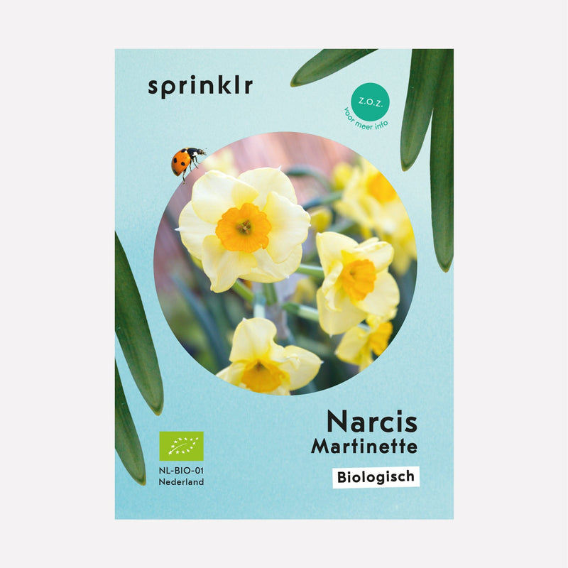 Narcis Martinette