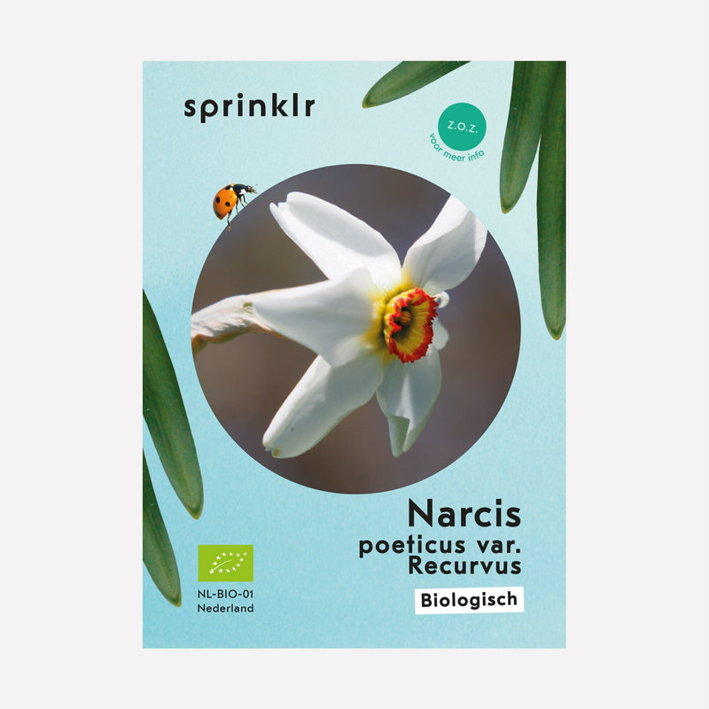 Sprinklr bollenlabel van Narcis poeticus var. Recurvus