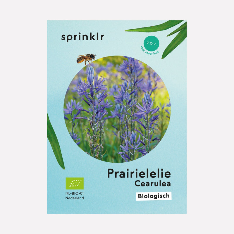 Sprinklr bollenlabel van Prairielelie Cearulea