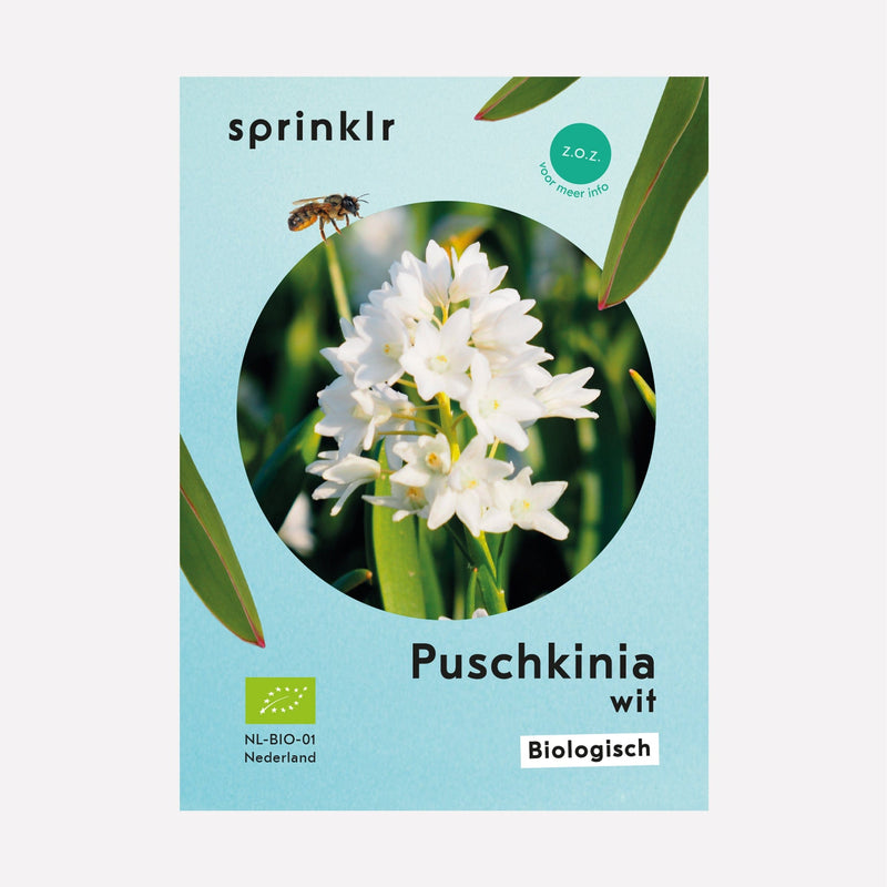 Sprinklr bollenlabel van Puschkinia wit