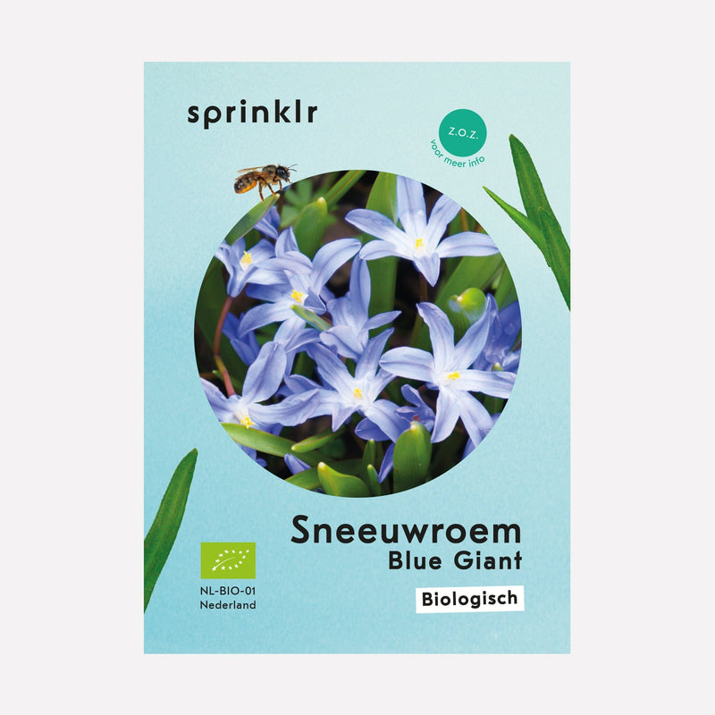 Sprinklr bollenlabel van Sneeuwroem Blue Giant