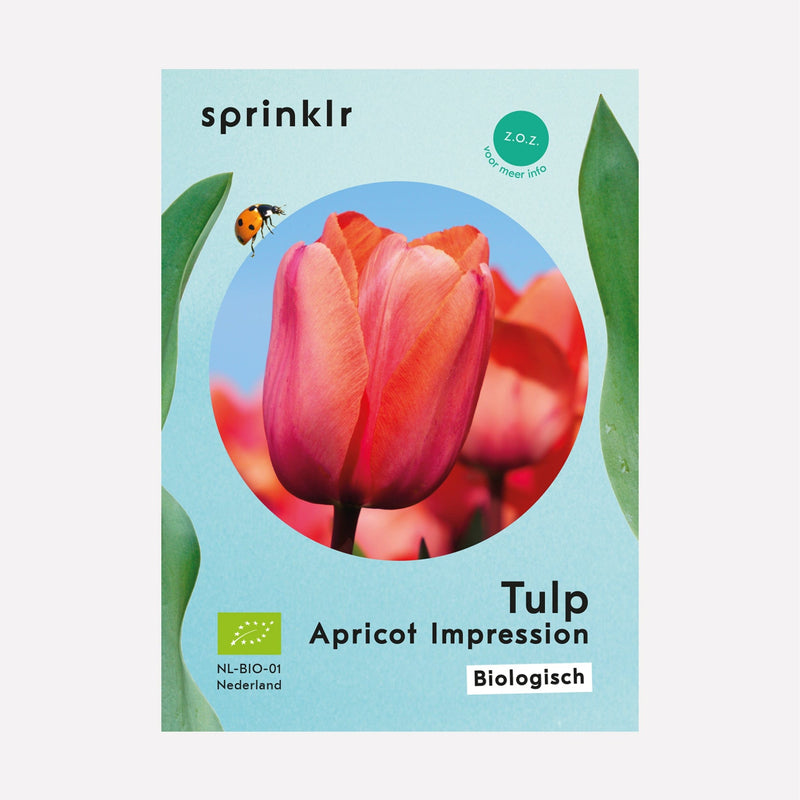 Sprinklr bollenlabel van Tulp apricot impression