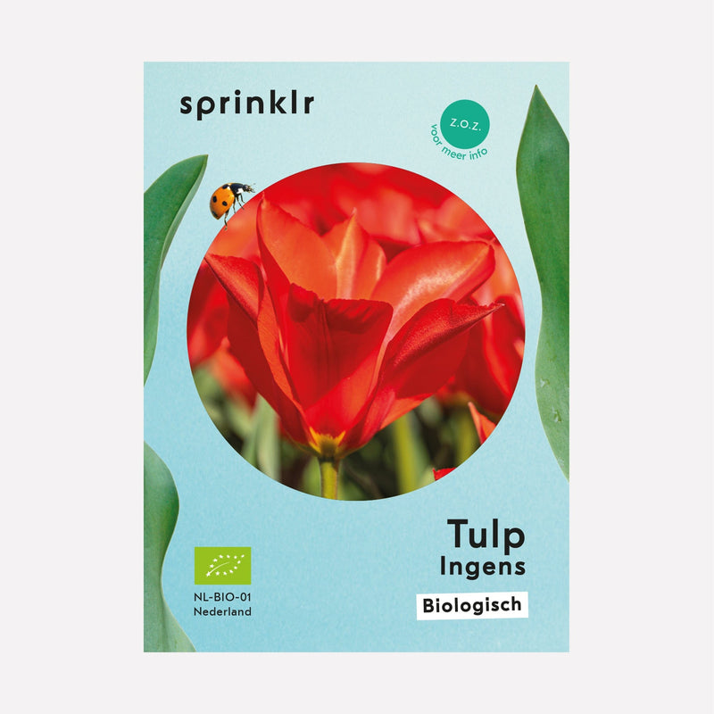 Sprinklr bollenlabel van Tulp Ingens