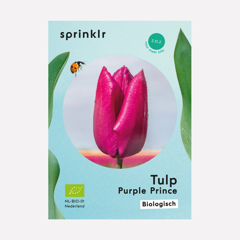 Sprinklr bollenlabel van Tulp Purple Prince