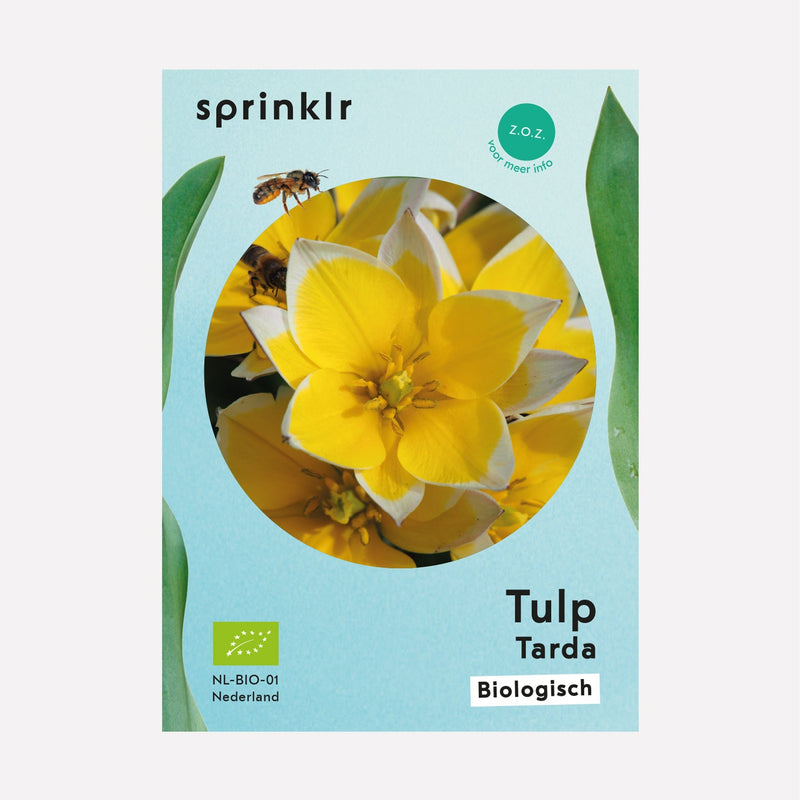 Sprinklr bollenlabel van Tulp tarda