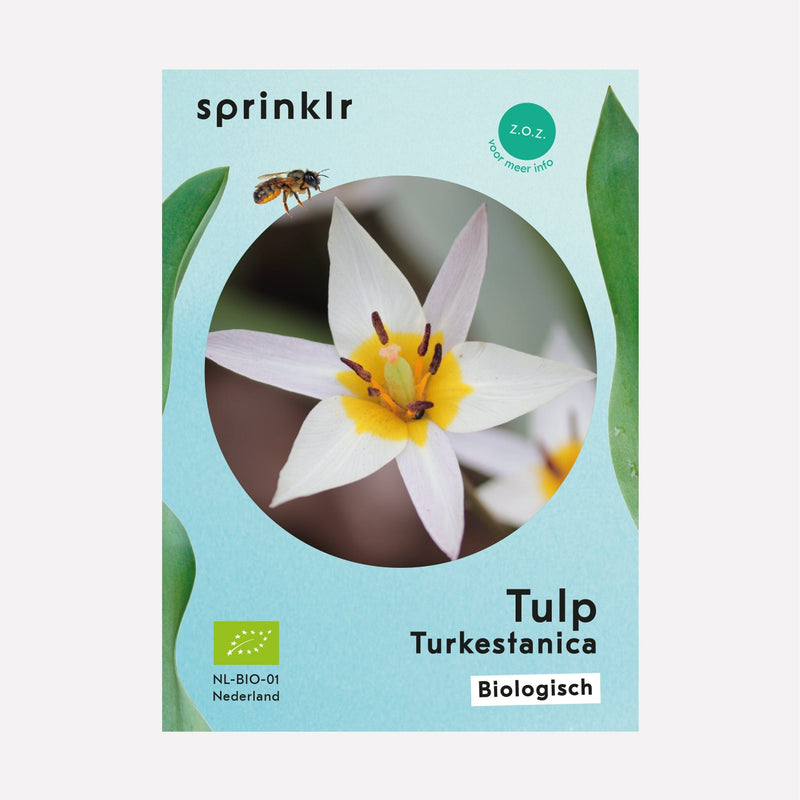 Sprinklr bollenlabel van Tulp Turkestanica