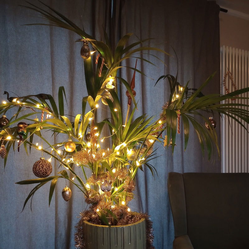 Kentia palm versierd met kerstverlichting en kerstballen