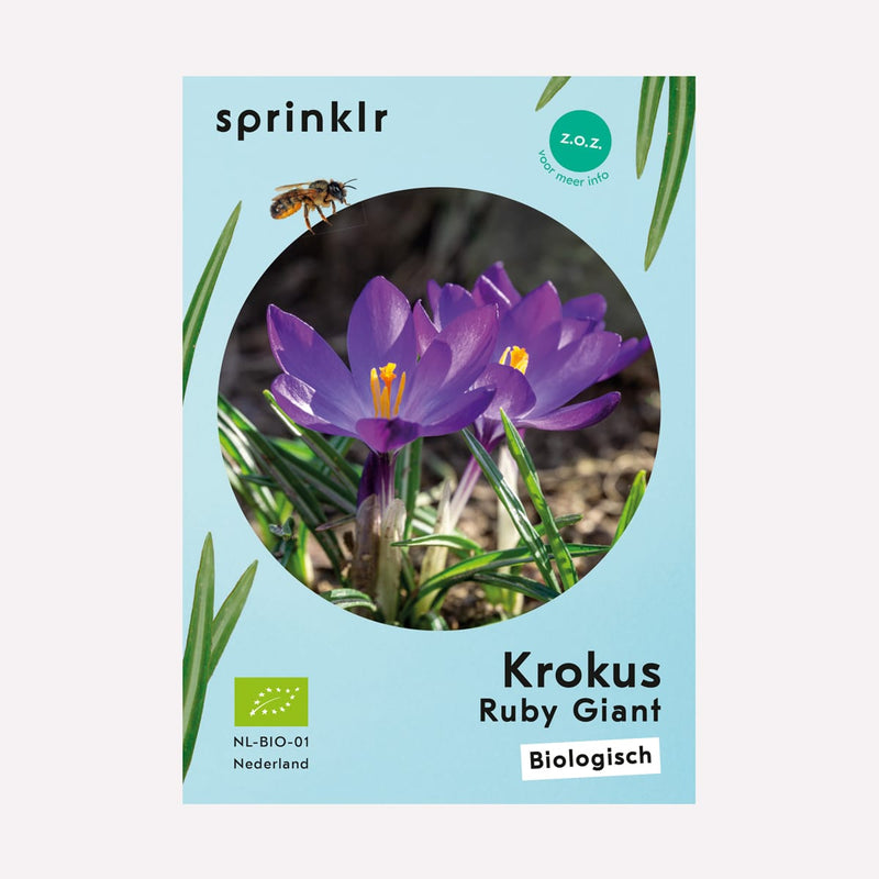 Label van biologisch gekweekte Krokus Ruby Giant
