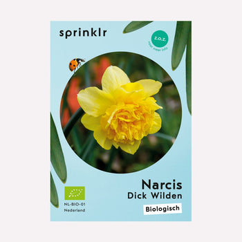 Narcis Dick Wilden