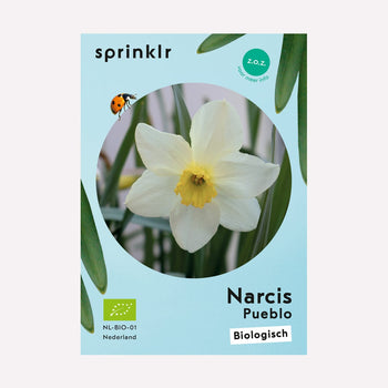 Narcis Pueblo