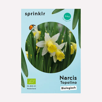 Narcis Topolino